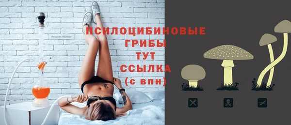 гашик Верея