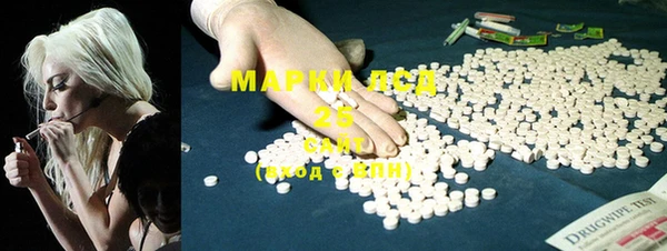 гашик Верея