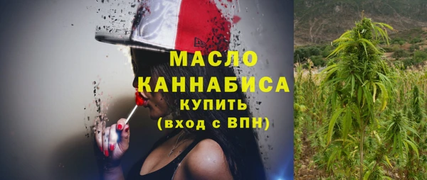 гашик Верея