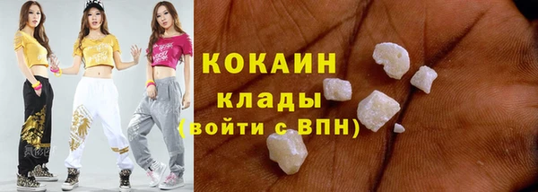 гашик Верея
