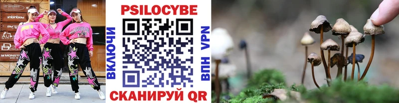 наркотики hydra зеркало Псилоцибиновые грибы GOLDEN TEACHER Вилючинск