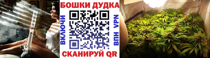 закладка  Вилючинск  Каннабис сатива 
